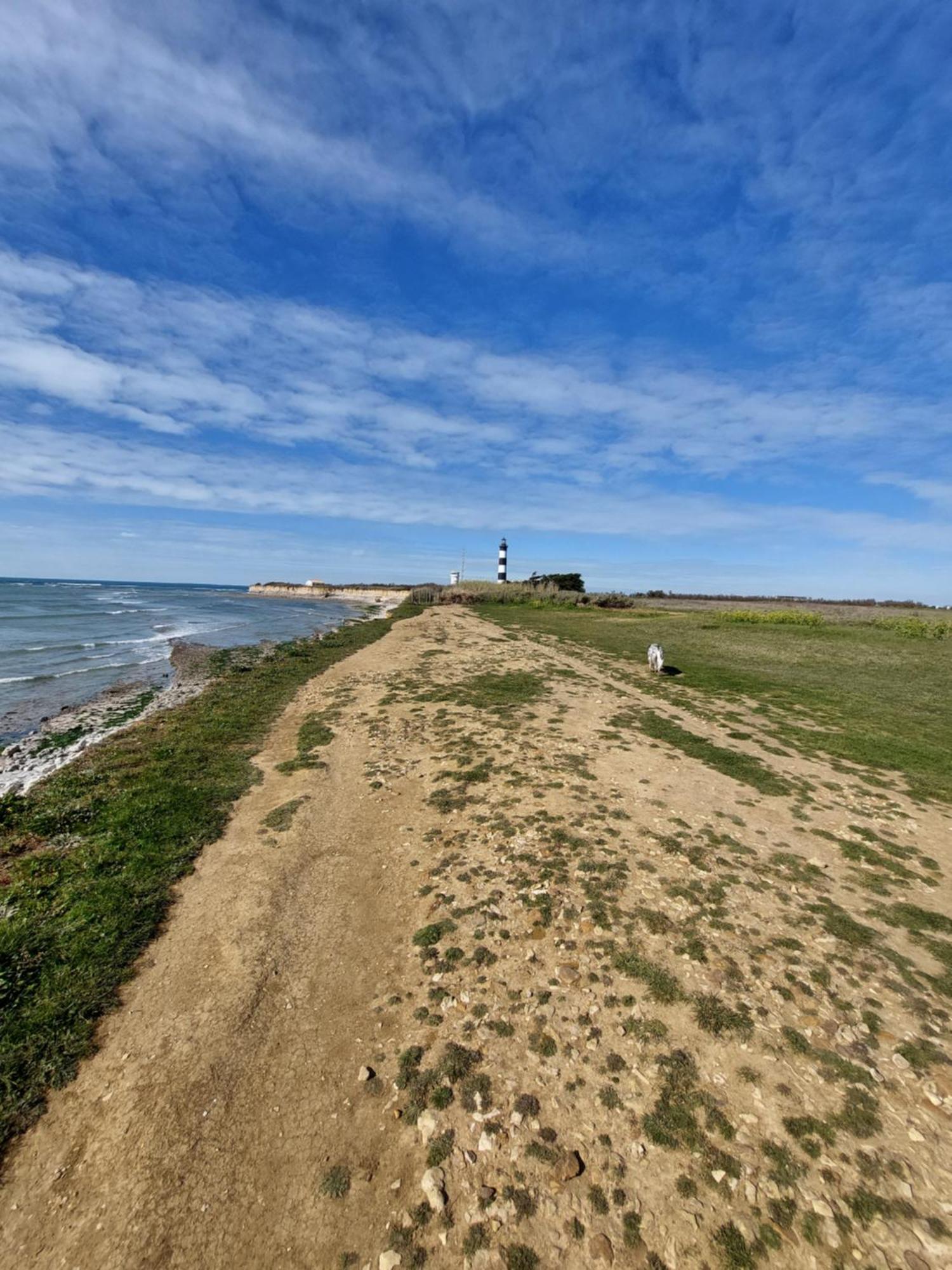 Maison A 8 Min A Pied De La Plage Avec Jardin Clos Et Ombrage Saint-Georges-d'Oleron Exteriér fotografie